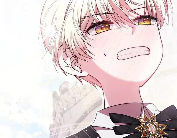 第239页