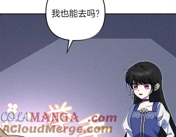 第213页