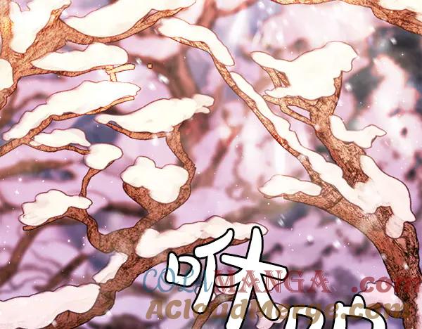 第233页