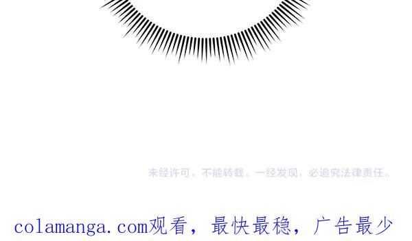 第239页