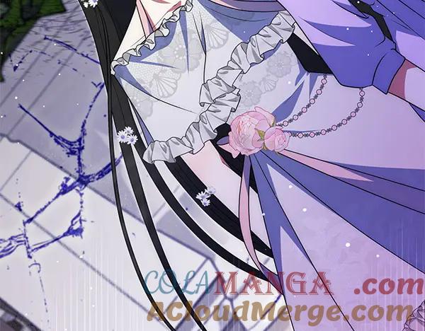 第221页