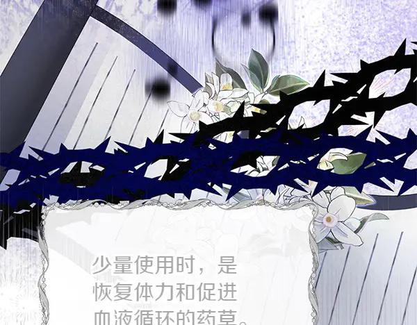 第223页