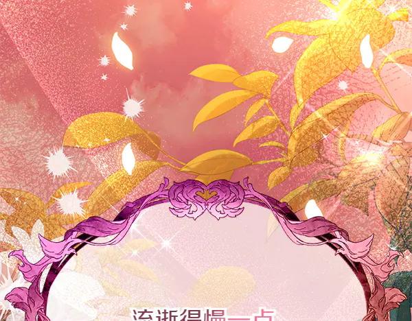 第219页