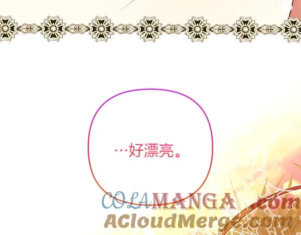 第241页