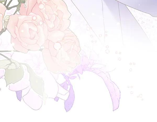 第256页