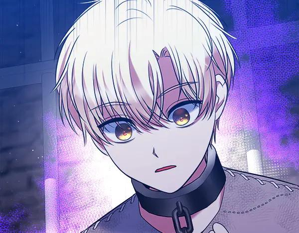 第224页