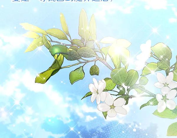 第243页