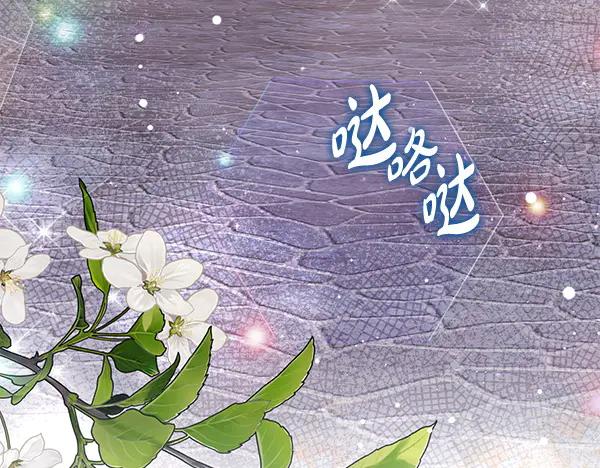 第255页