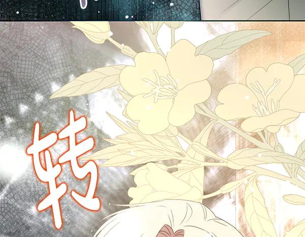 第242页