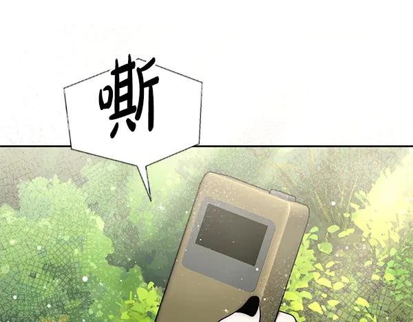 第228页