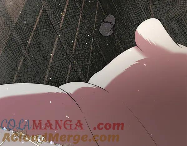 第249页