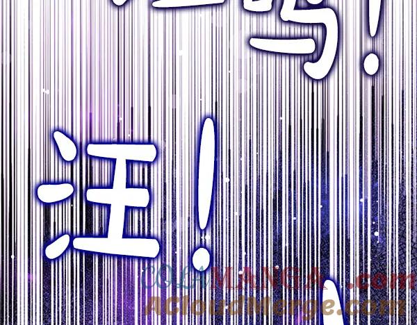第221页