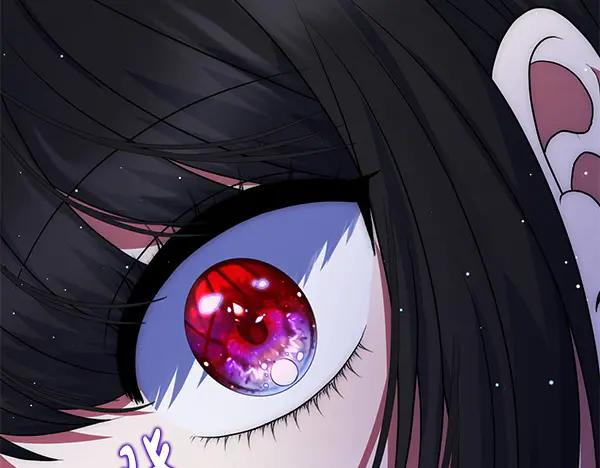 第223页