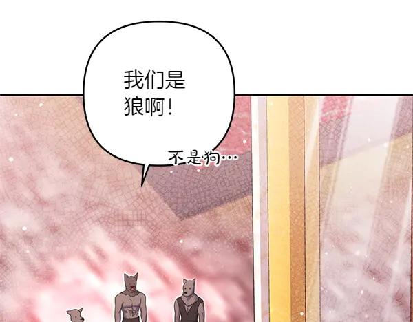 第234页