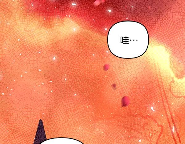 第254页