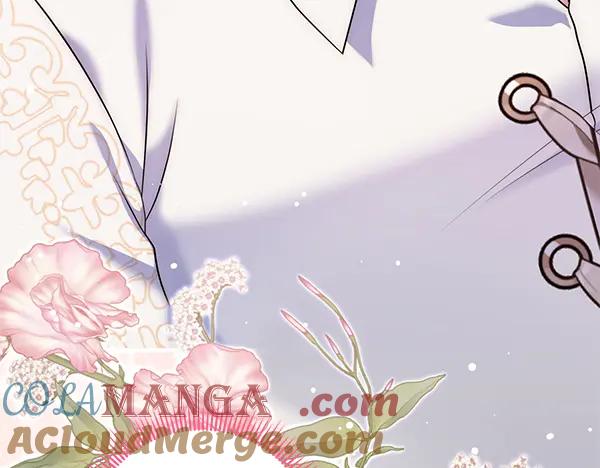 第217页