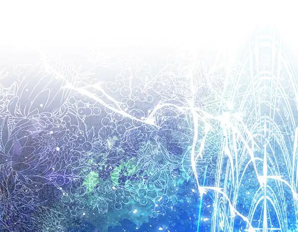第206页