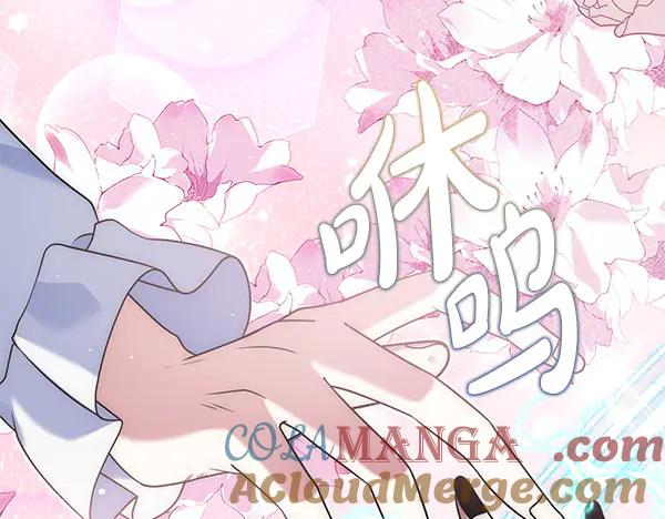 第213页