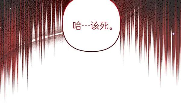 第223页