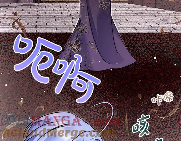 第185页