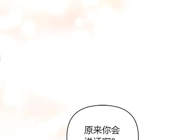 第232页