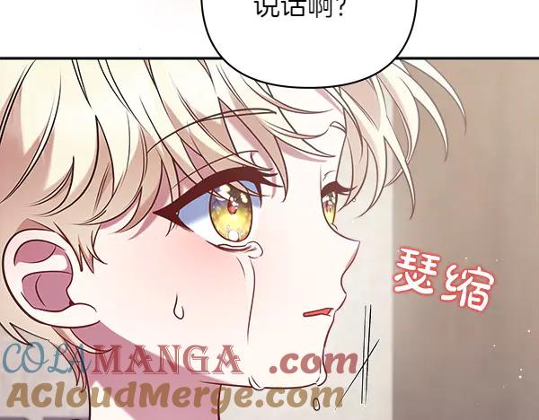 第233页