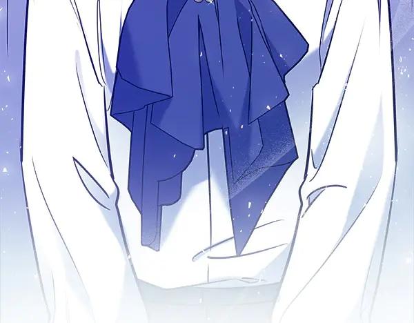 第263页