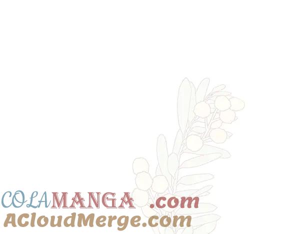 第233页