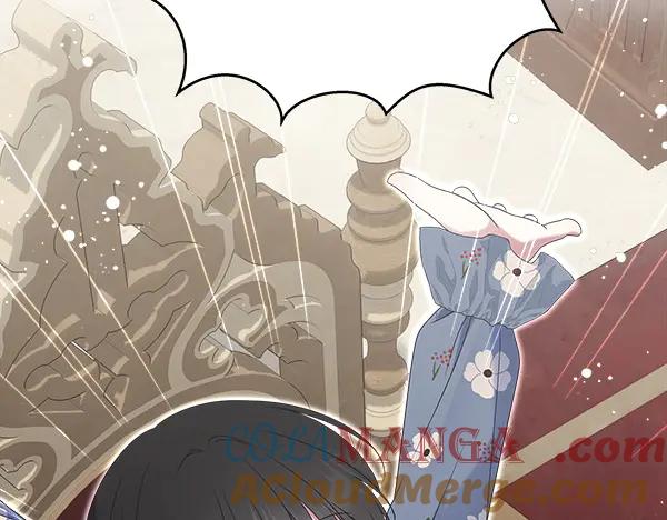 第217页