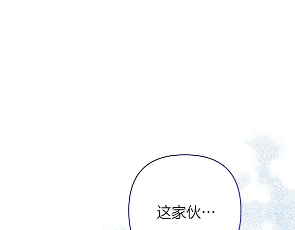 第251页