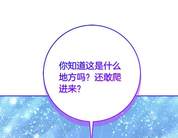 第238页