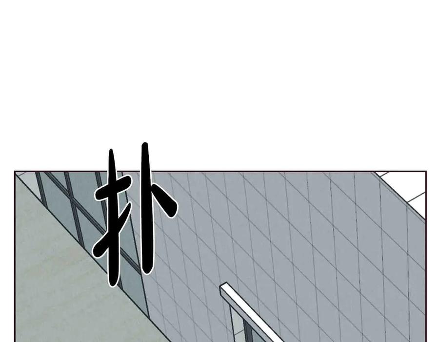 第236页
