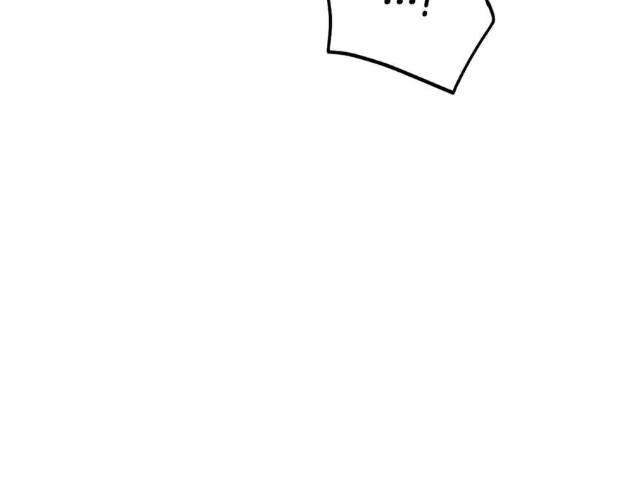 第244页