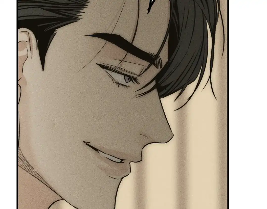 第215页