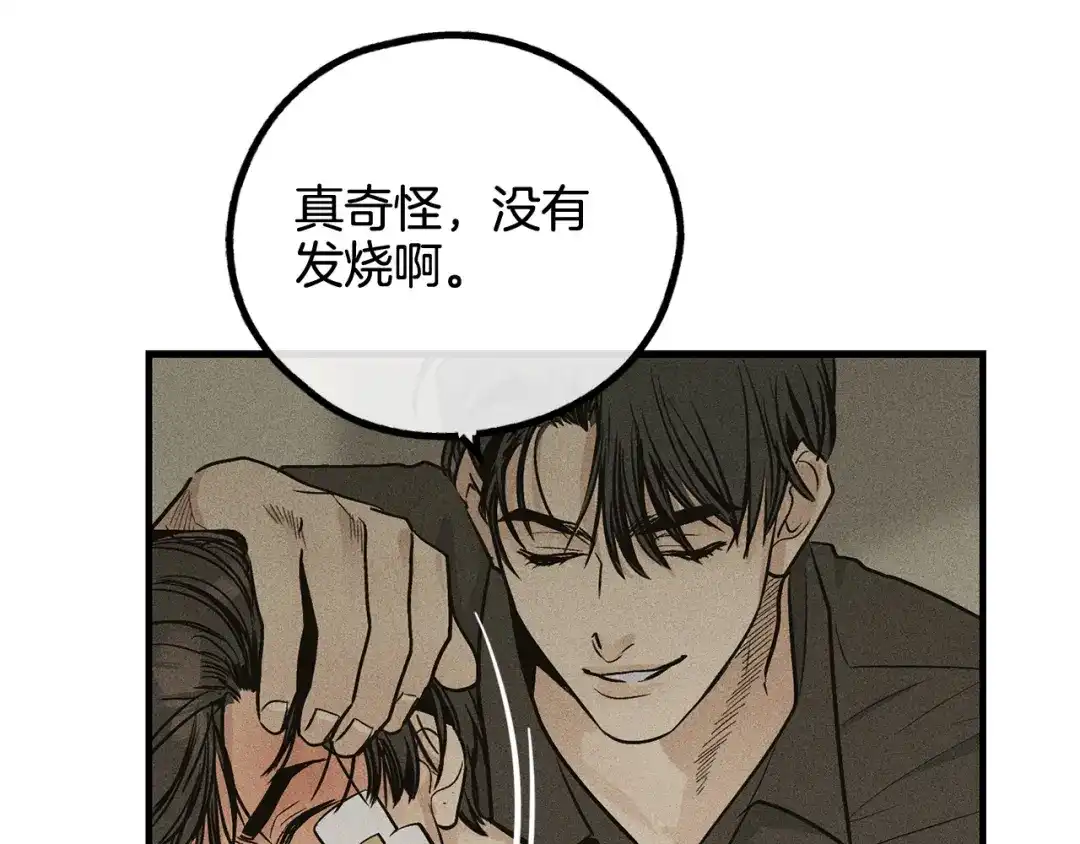 第175页