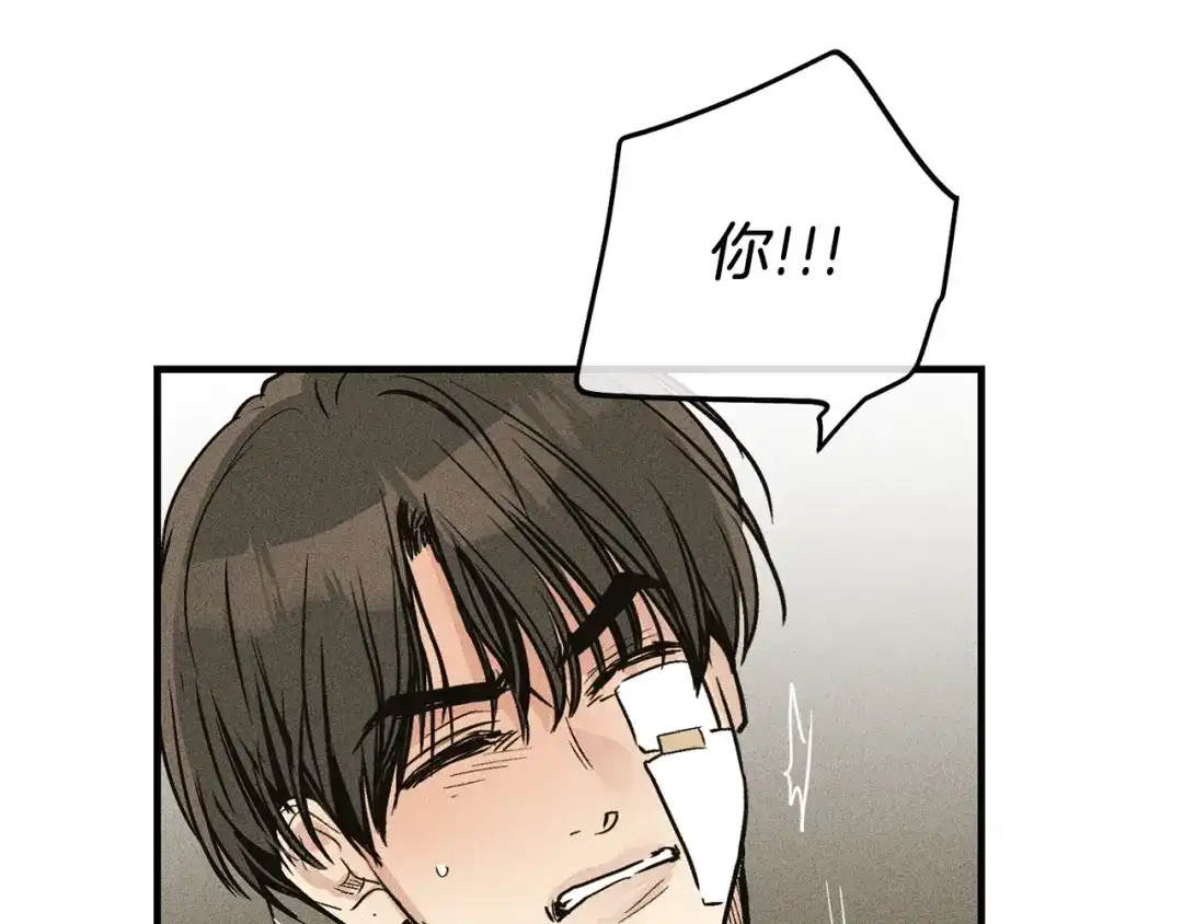 第191页