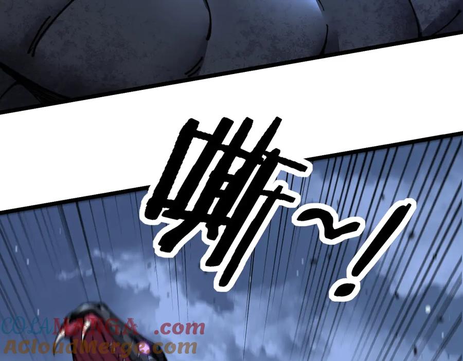 第209页