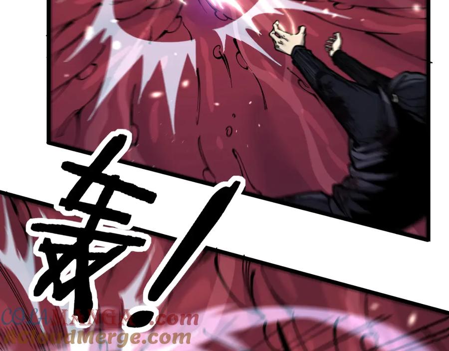 第213页