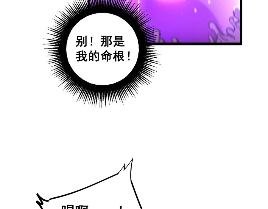 第223页
