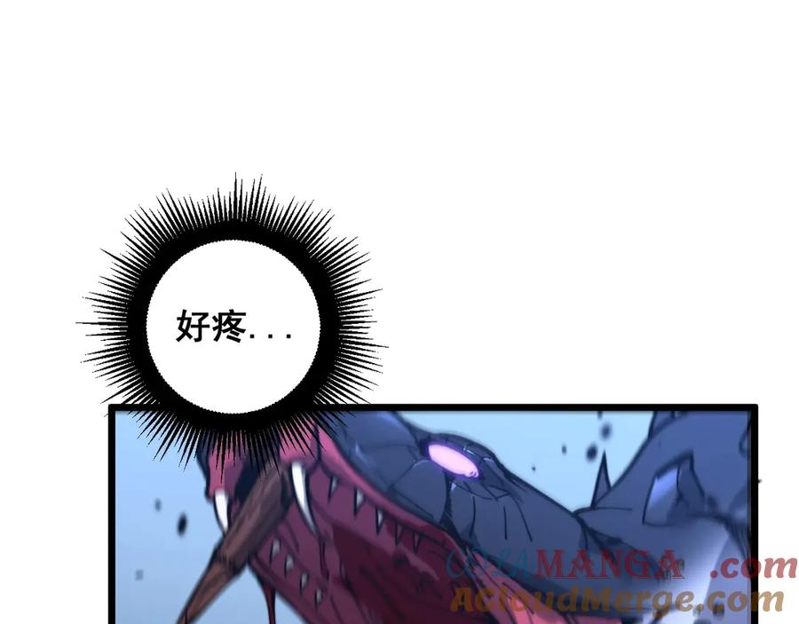 第233页
