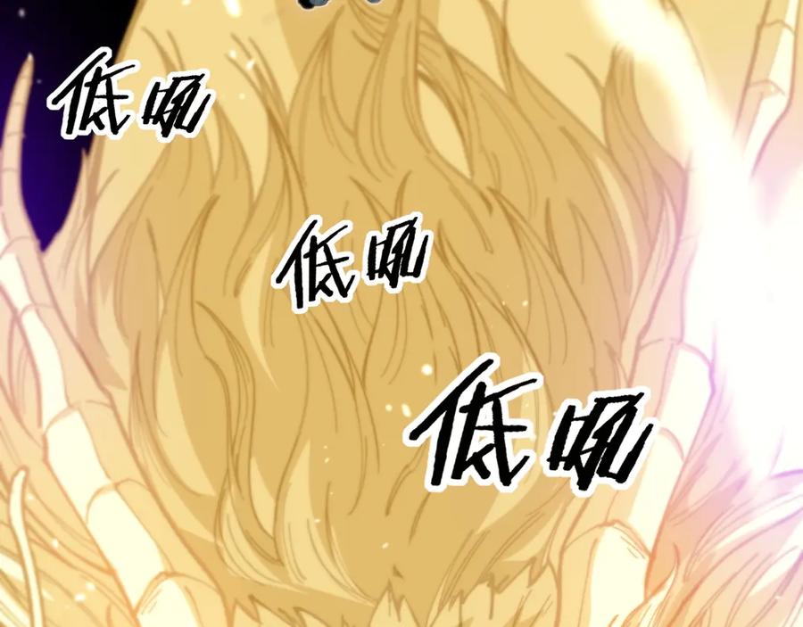 第260页