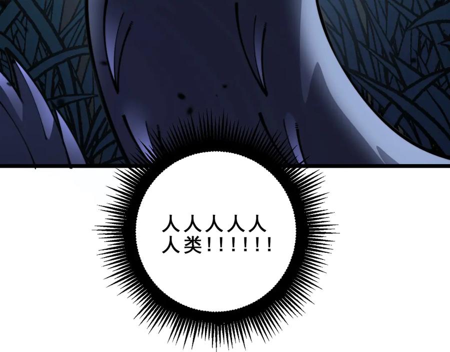 第223页