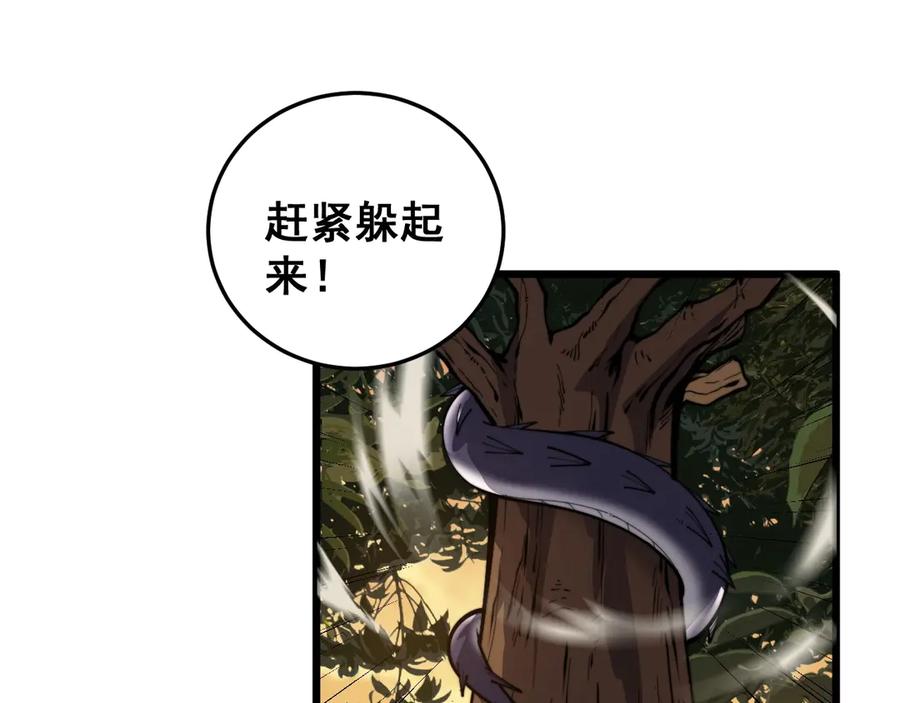 第215页