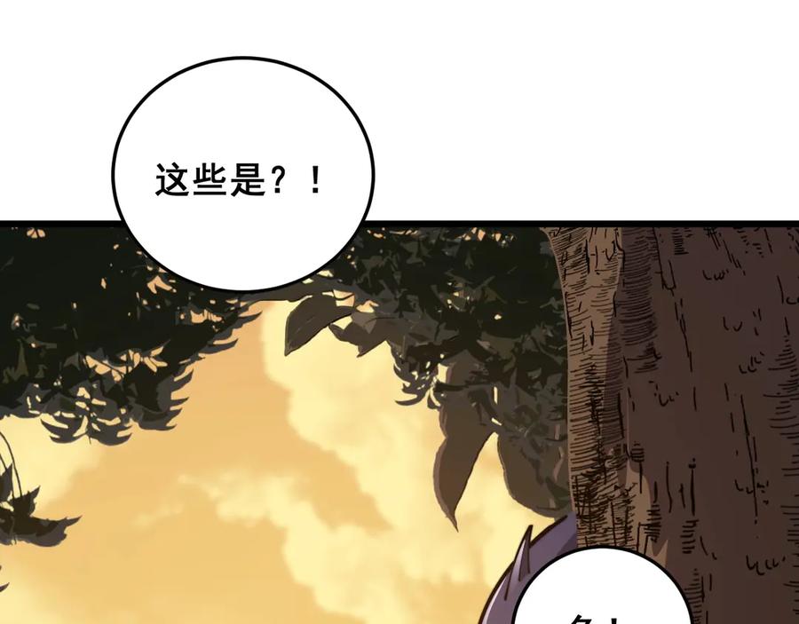 第224页