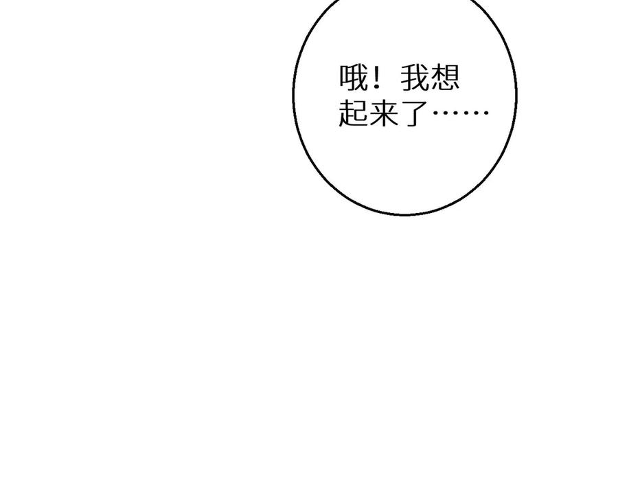 第239页