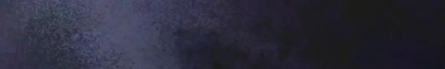 第223页