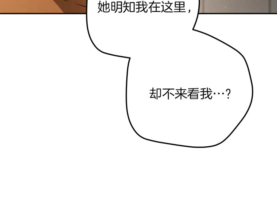第239页