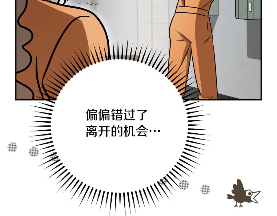 第242页