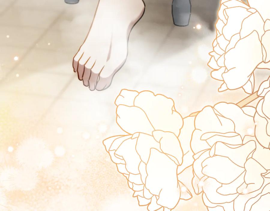 第240页