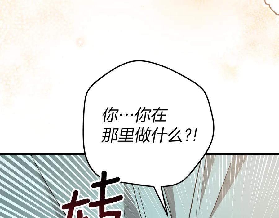第242页